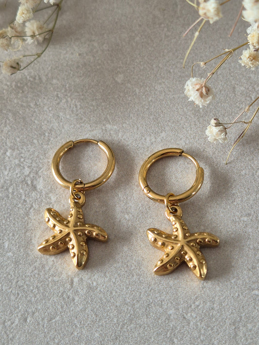 Boucles SEASTAR