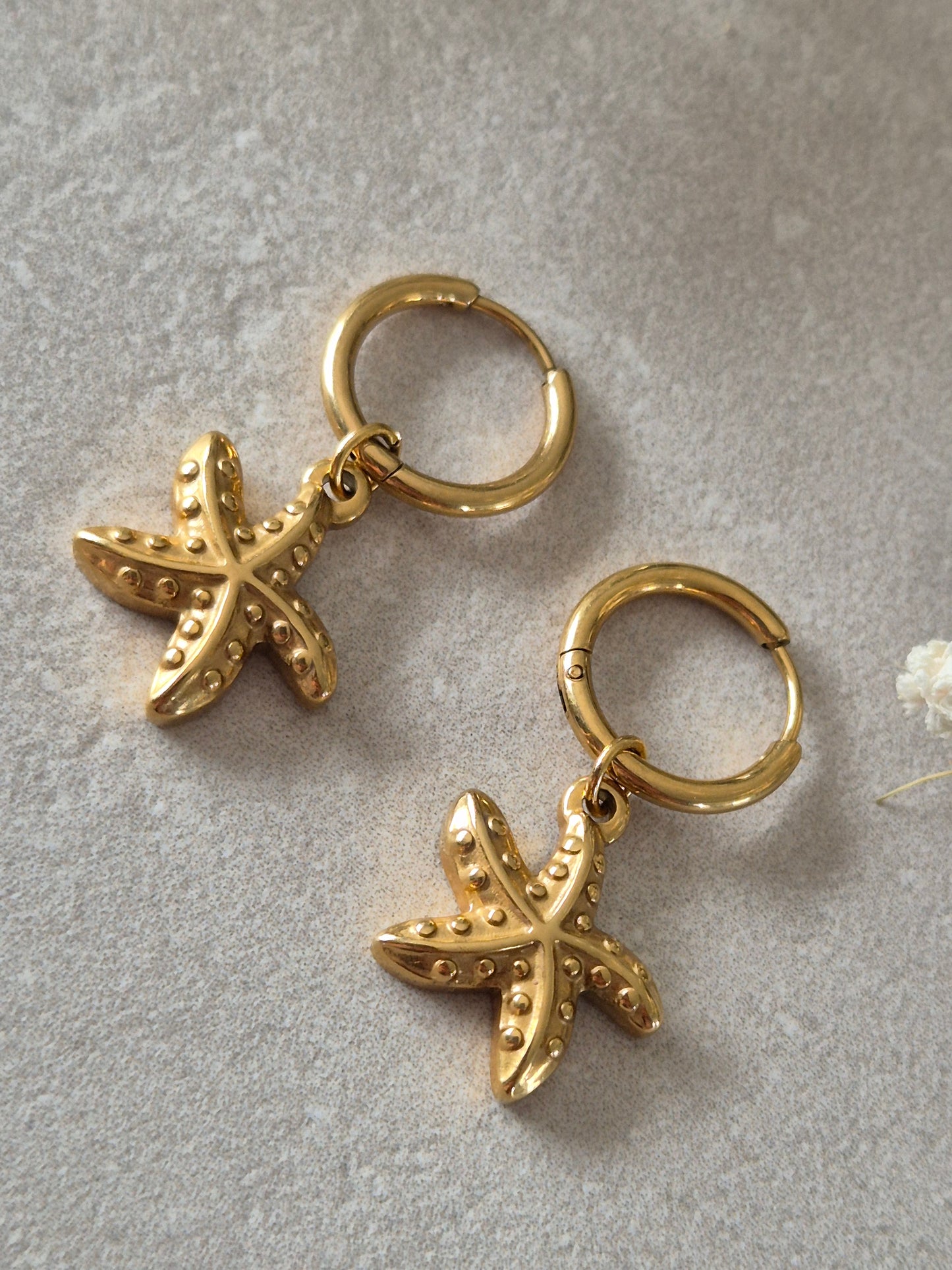 Boucles SEASTAR