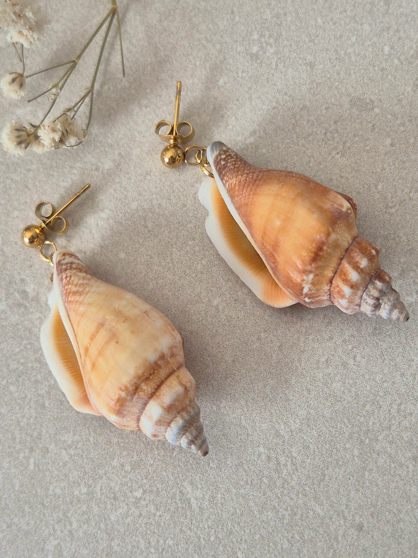 Boucles SEASHELL