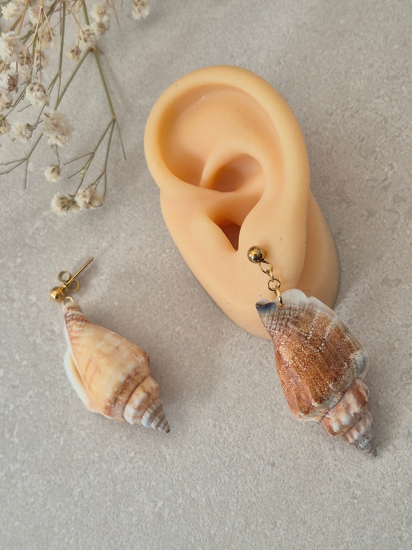 Boucles SEASHELL